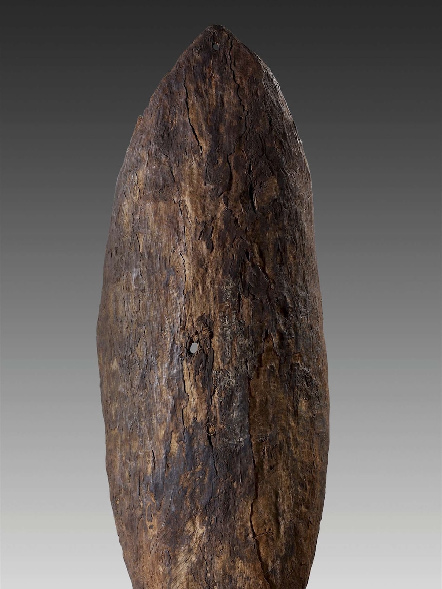 A wooden shield made by the Gweagal people.