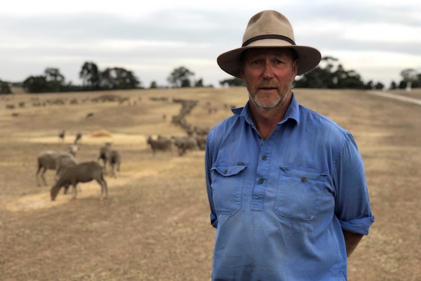 Joe Keynes standing in a field with sheep eating feed behind him.