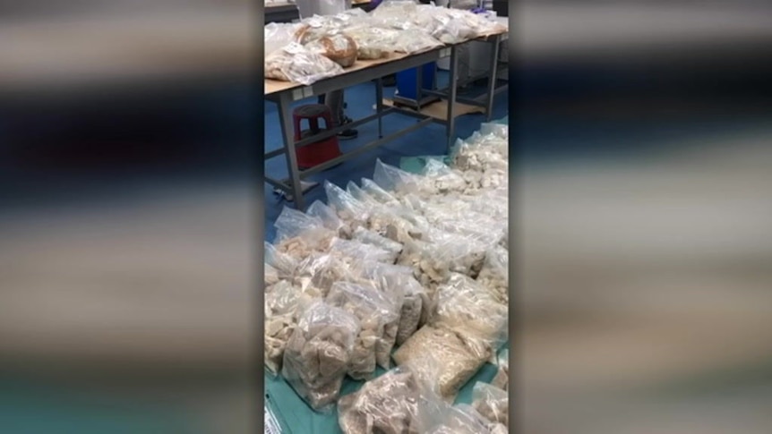 Two Sydney men arrested and extradited to Brisbane over $300 million MDMA drug bust - ABC News