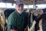 Bob Rheinberger smiles at the camera while standing behind a line of cows.