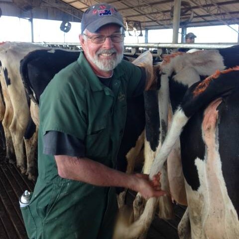 Bob Rheinberger smiles at the camera while standing behind a line of cows.