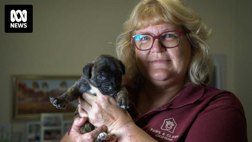 La « pétflation » oblige les Australiens à abandonner leurs animaux de compagnie bien-aimés alors que les factures de nourriture et de vétérinaire augmentent