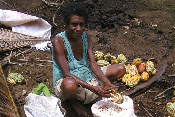 A female worker sits on the ground and takes the beans out of cocoa pods on Vanuatu's Karkar Island.