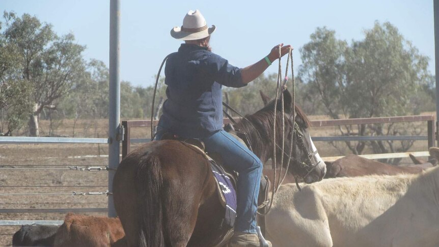 Finals competition in the Bronco Branding Championships