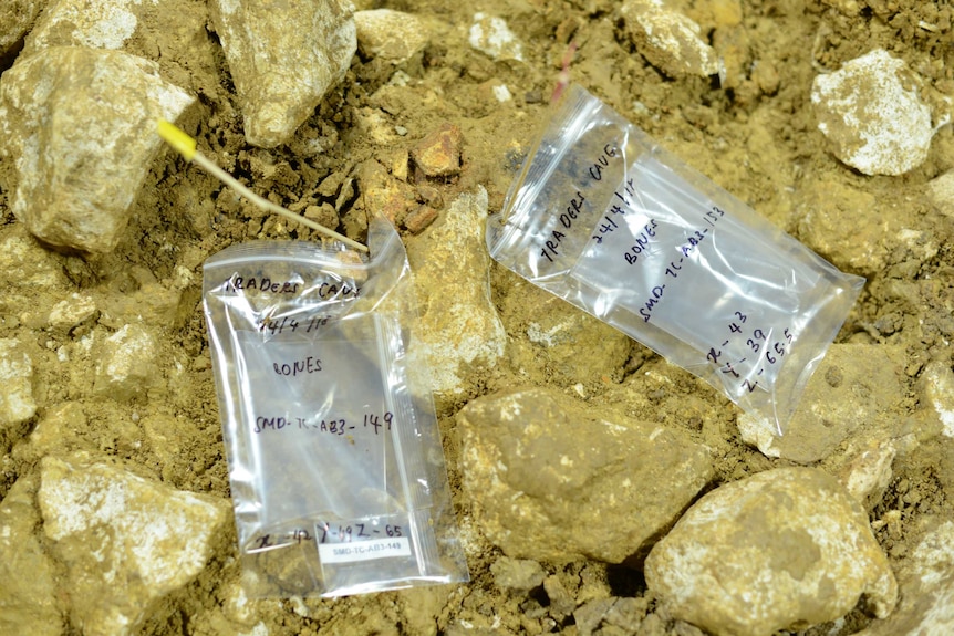 Close up of bags containing bone fragments