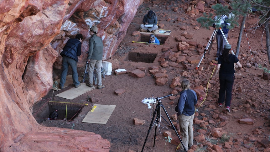 People examine rock art on an overhang while others examine a square archeological dig out. 