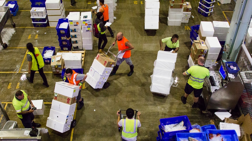 Workers transporting boxes around the Sydney Fish Market auction hall floor.