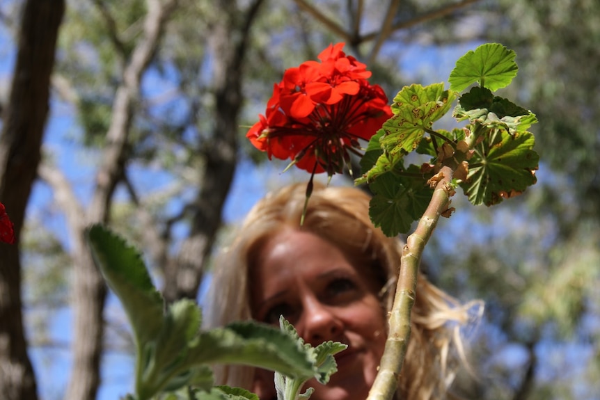 Tamara Jarrah Marri with her plant, Citronella