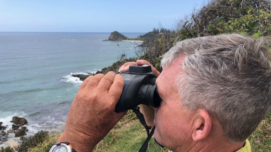 Whale spotter looking through binoculars for humpbacks off the coast of Port Macquarie
