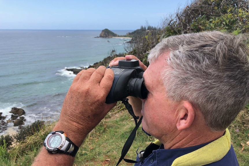 Whale spotter looking through binoculars for humpbacks off the coast of Port Macquarie