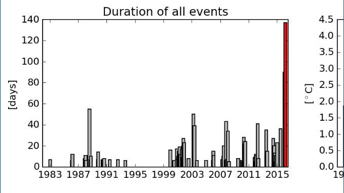 Marine heatwave graph of Tasmanian water