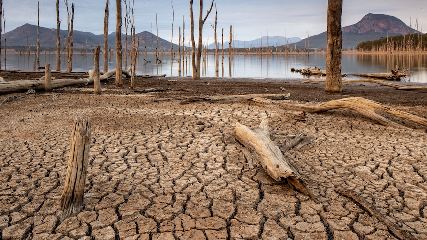 A dry lake bed.