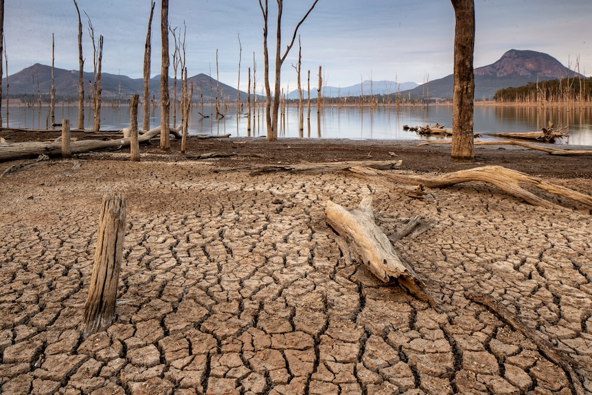 A dry lake bed.