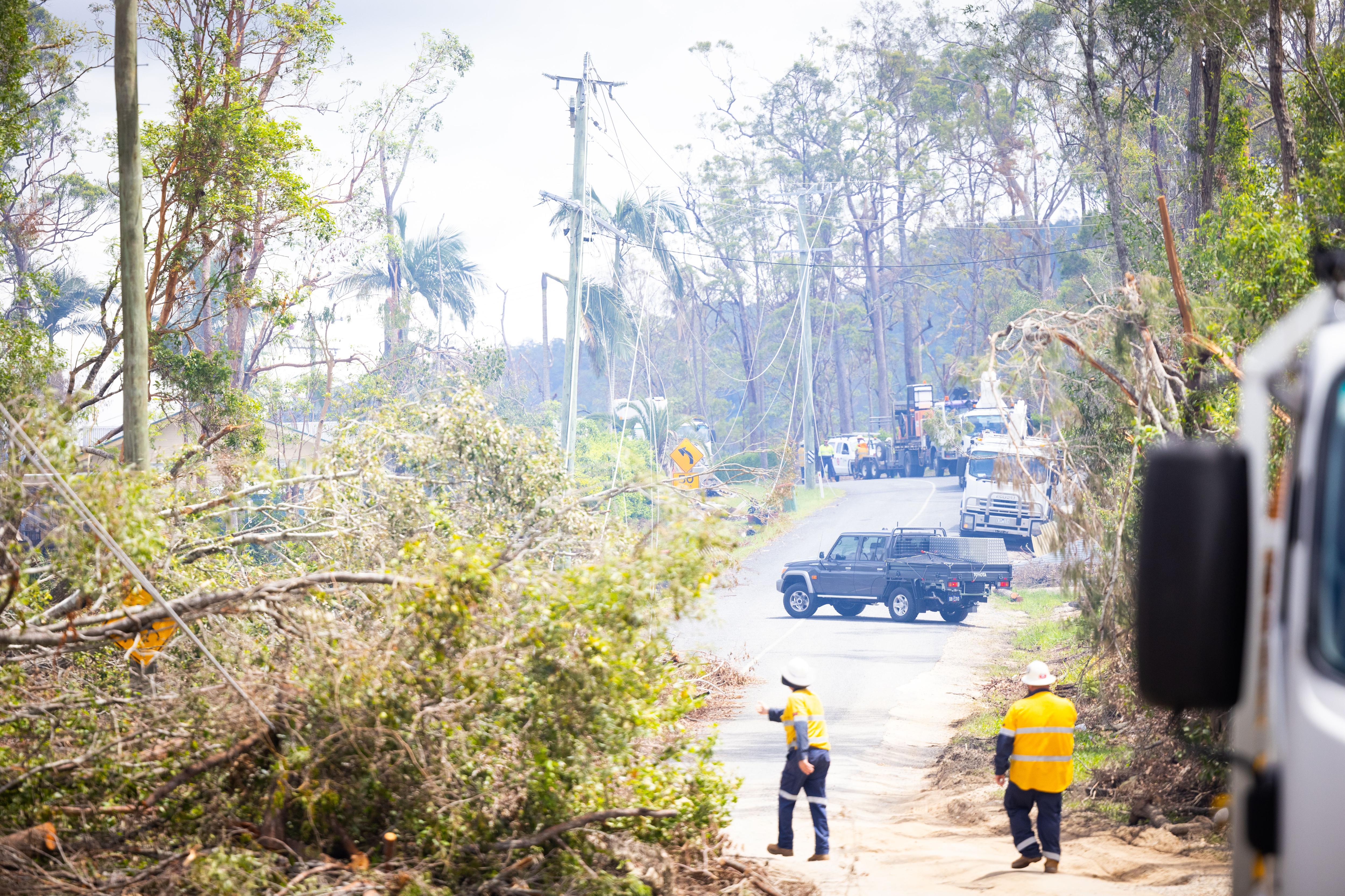 Emergency services clearing a path through fallen trees.