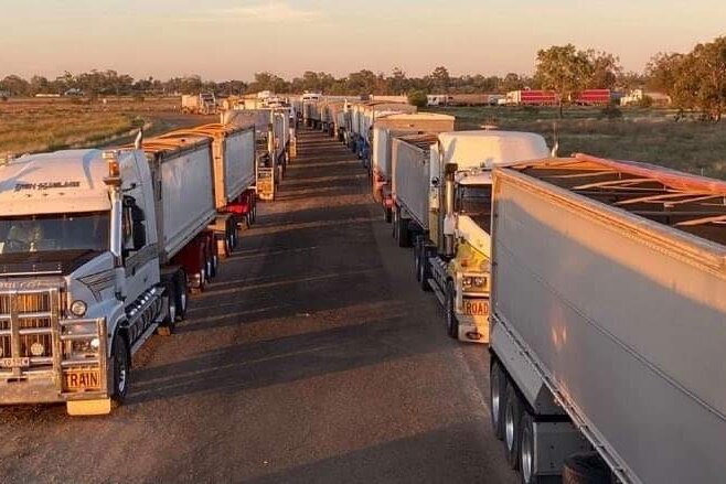 新州Coonamble地区满载谷物的卡车在11月排起了长龙，等待运送丰收的粮食。