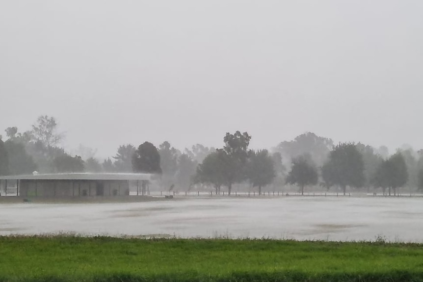 heavy rain falls on a flooded park 