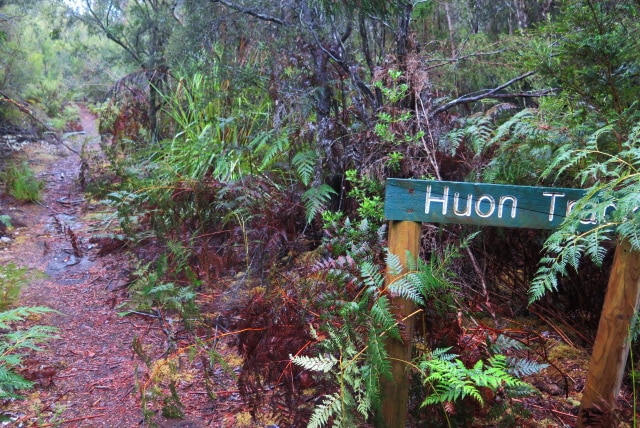 The start of the Huon Track, southern Tasmania.