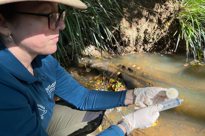 A female scientist with a plastic tube full of Brisbane River water