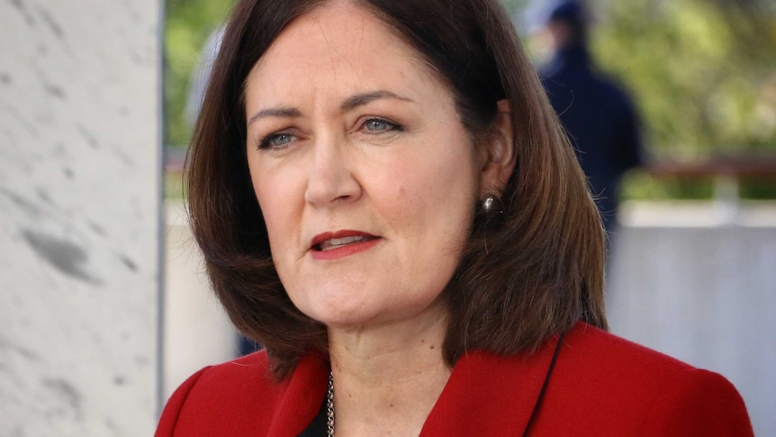 Sarah henderson wears a red blazer and speaks to reporters in Canberra