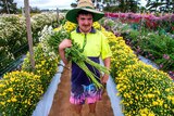 A man in high-vis clothing and a sunhat holds a bunch of cut flowers amid rows of flowers in a flower field.