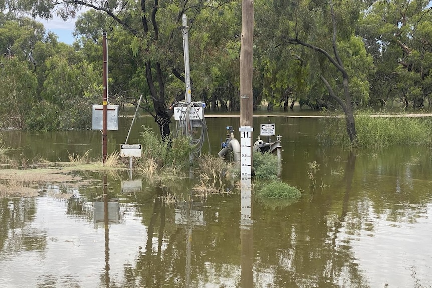 A flooded Darling River. 