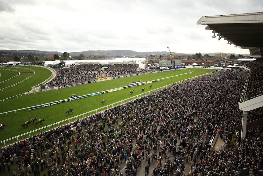 A large crowd of people stand closely together behind barriers as they watch a horse race.