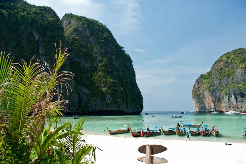 Maya Bay in Thailand, where The Beach was filmed.