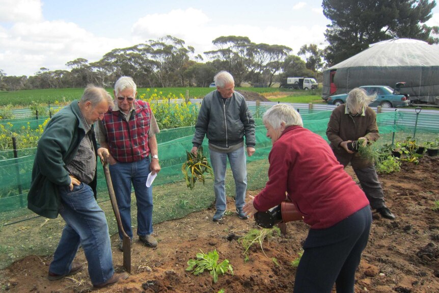 Volunteers at work at the free-range snail farm in South Australia.