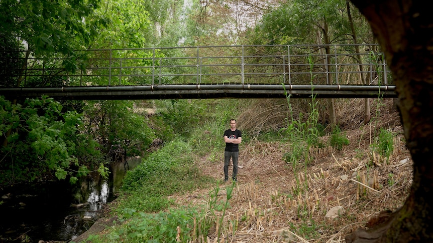 A man standing in a green valley under a bridge with a pipe attached to it