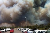 Smoke rises from the bushfire as burned near Newcastle airport.