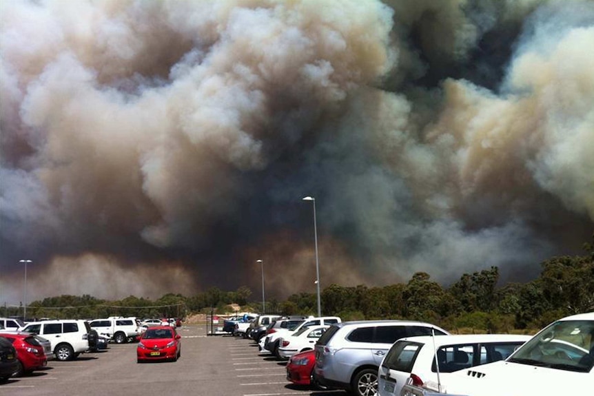 Smoke rises from the bushfire as burned near Newcastle airport.