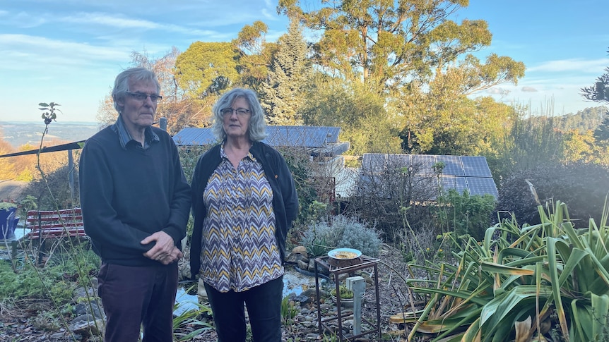 two people standing in front of a horizon with solar panels