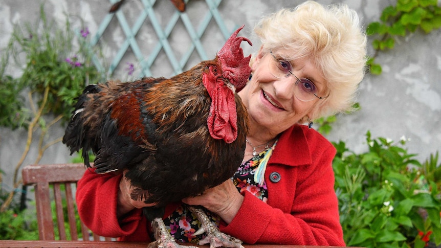 Corinne Fesseau poses with her rooster Maurice in her garden.