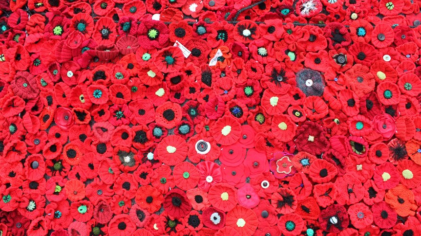 Organisers were overwhelmed by the number of poppies sent to the project.