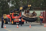 Rafts from the Thunder River Rapids ride being moved into the Dreamworld car park