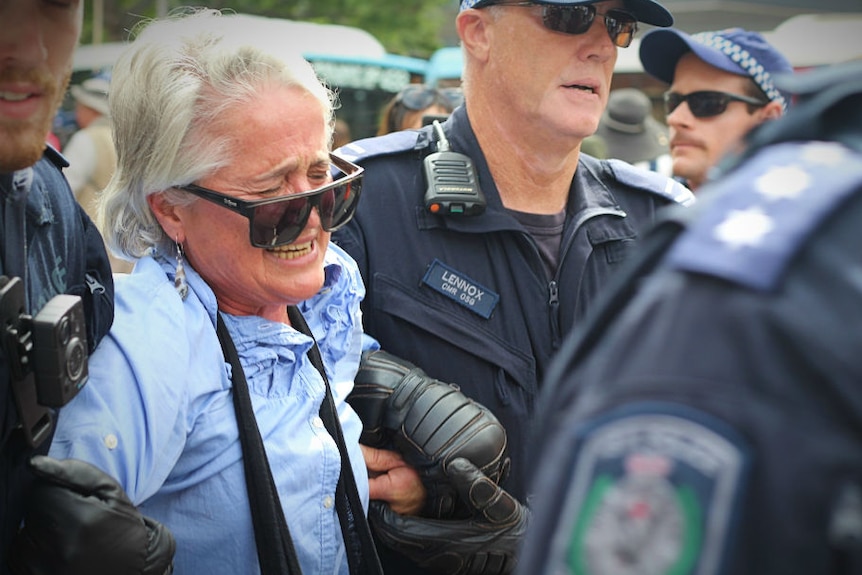 An elderly woman grimaces in pain as she is led away by police.