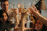 A group of people toast glasses of white wine.