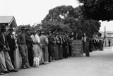 A black and white photo of a line of unemployed male relief workers.