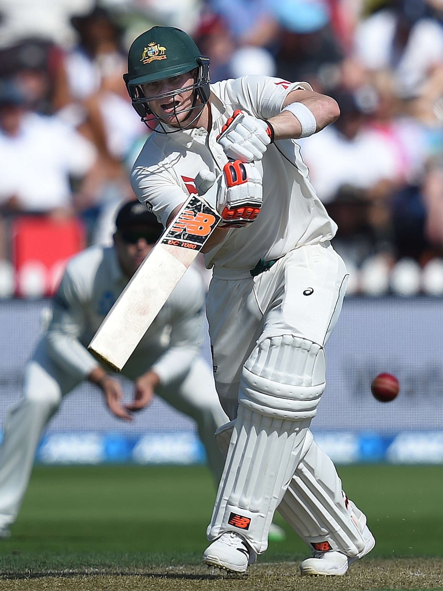 Steve Smith drives in Wellington