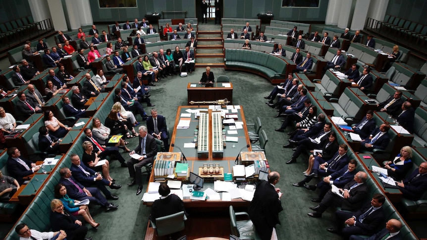 A wide shot of the House of Representatives shows members from all sides of politics.