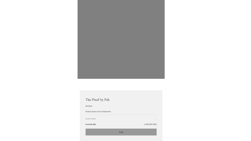 A screenshot of a grey square with the caption The Pixel by Pak underneath.