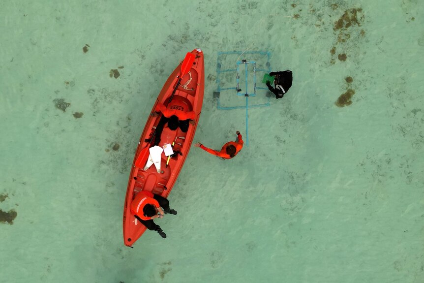Birds eye view of a kayak floating on water with a person sitting on it