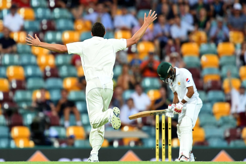Josh Hazlewood celebrates a wicket at the Gabba