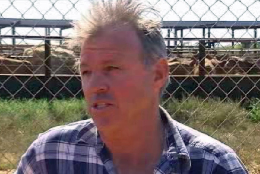 a man in a checked shirt with cattle in pens behind him