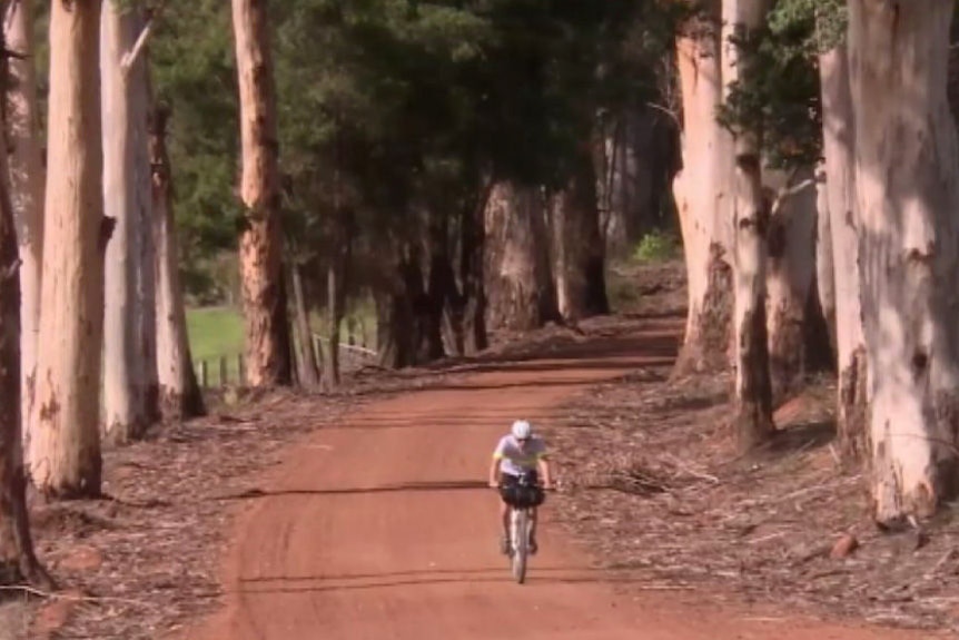 Mountain biker Declan von Dietze rides Munda Biddi trail