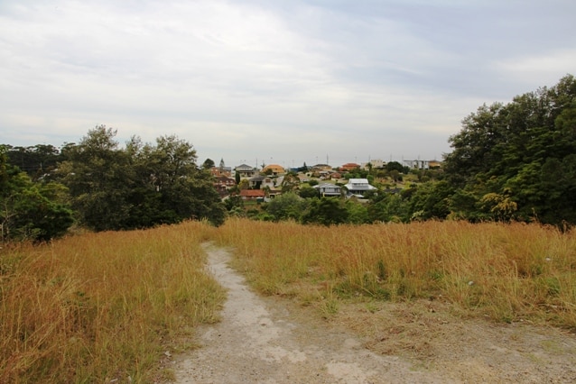 Conservation area near the Fernleigh Track at Whitebridge