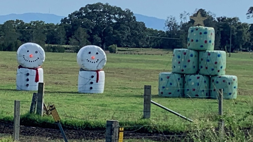 Two snowmen figures and a Christmas tree made from silage bales.