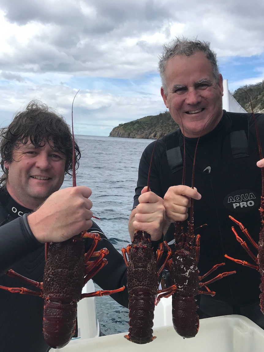 Two fishermen hold rock lobsters