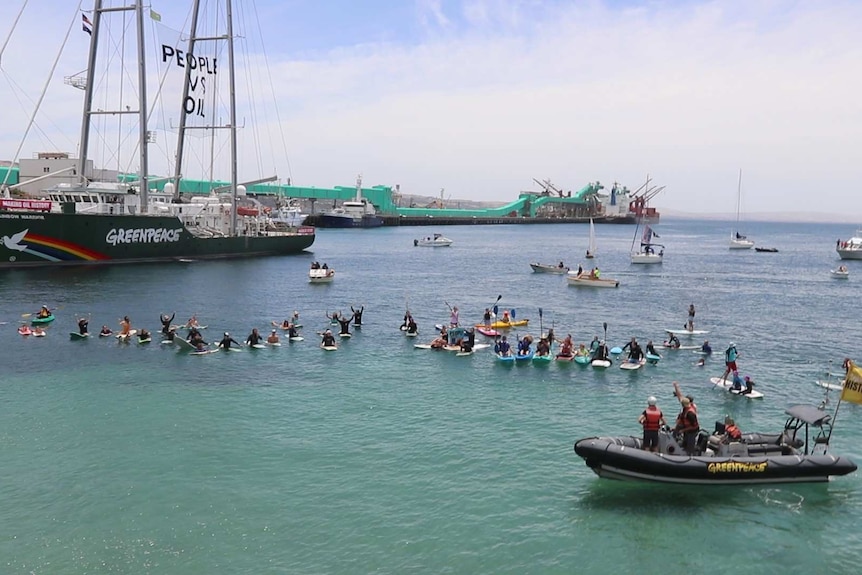 Surfers, paddleboards, motorboats, yachts floating in sea with Rainbow Warrior in background on left.