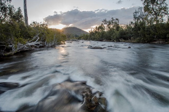 Water running over rocks away from the viewer the white rapids are caught in motion blur bush encroaches each bank lit by sunset